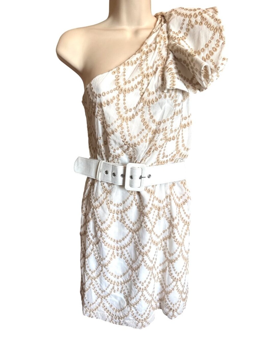 We Are Kindred Sienna Mini Dress US 6 Embroidered Belted Coastal Chic Coquette